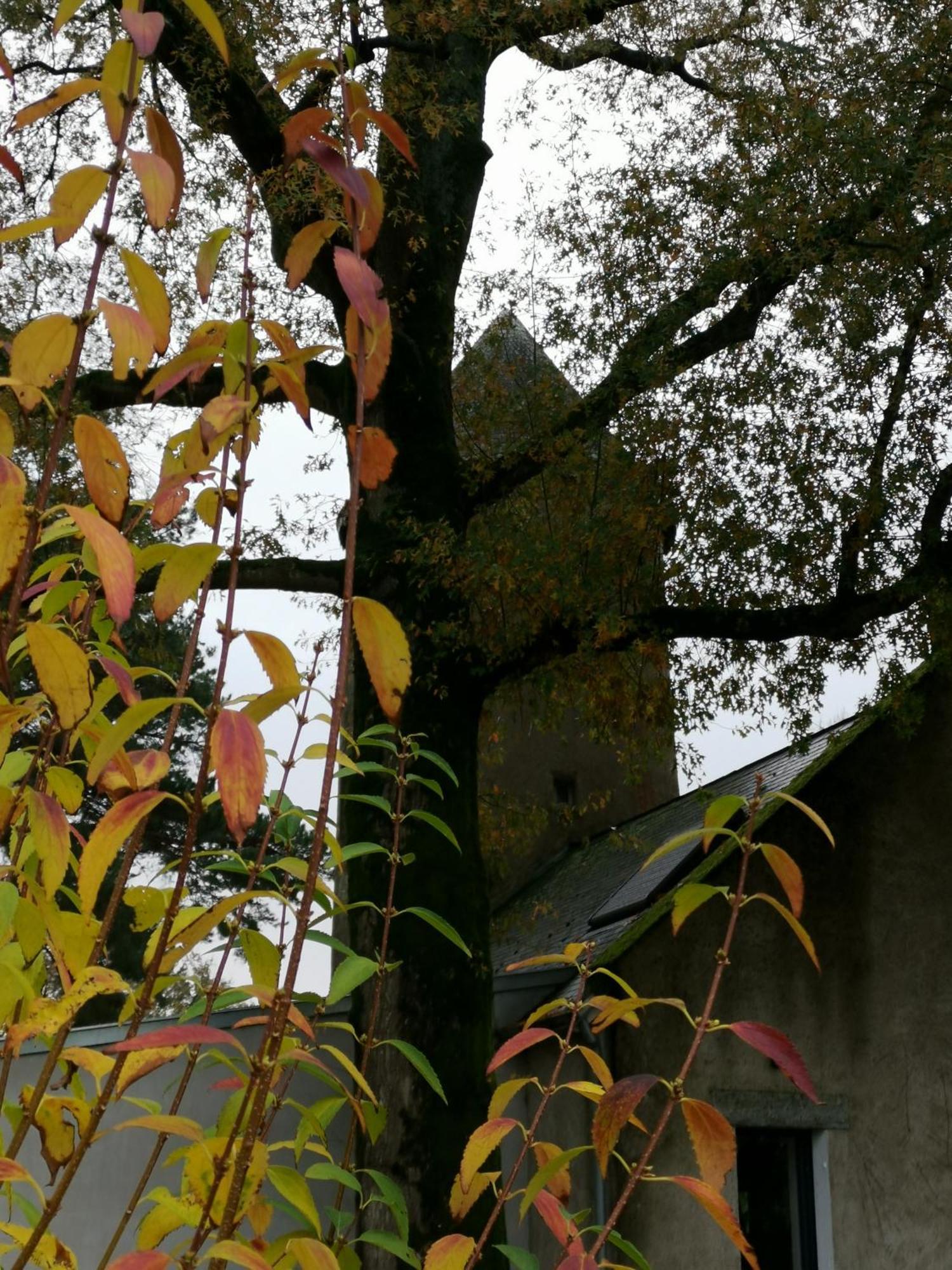 Le Moulin De La Retardiere Orvault Εξωτερικό φωτογραφία