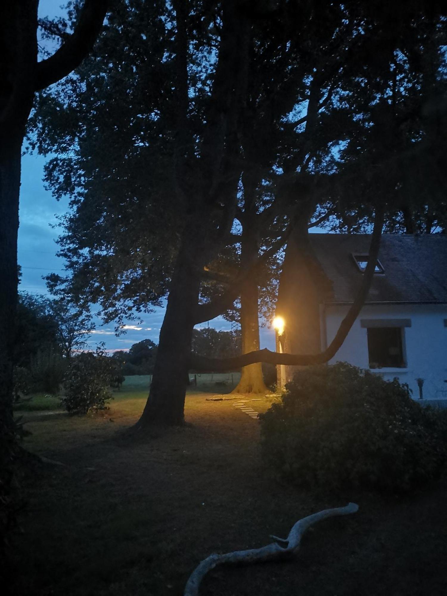 Le Moulin De La Retardiere Orvault Εξωτερικό φωτογραφία